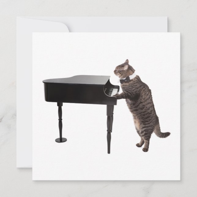 Cat Playing Piano Announcement (Front)