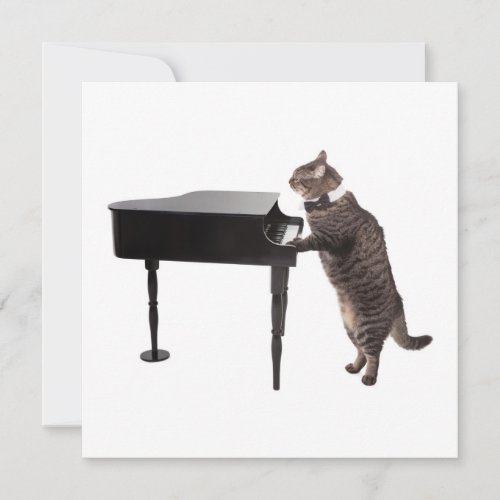 Cat Playing Piano Announcement