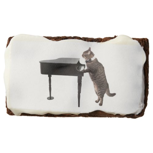 Cat Playing Piano Brownie