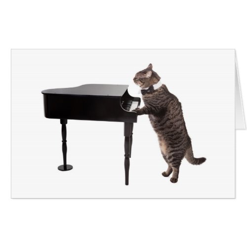 Cat Playing Piano Card