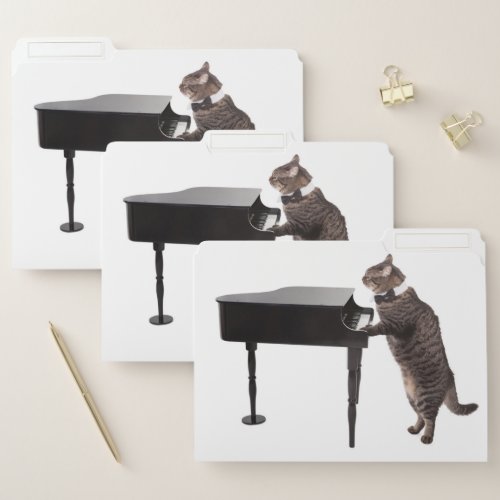 Cat Playing Piano File Folder