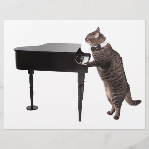 Cat Playing Piano Flyer