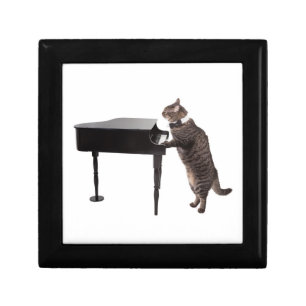 Cat Playing Piano Gift Box
