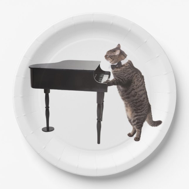 Cat Playing Piano Paper Plates (Front)