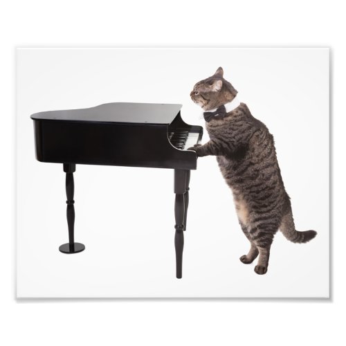 Cat Playing Piano Photo Print