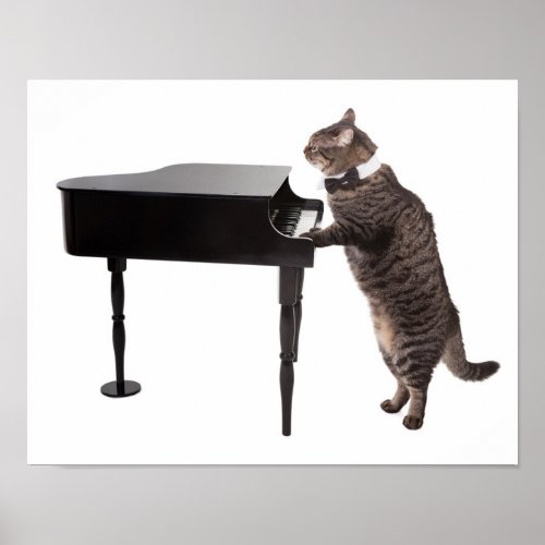 Cat Playing Piano Poster