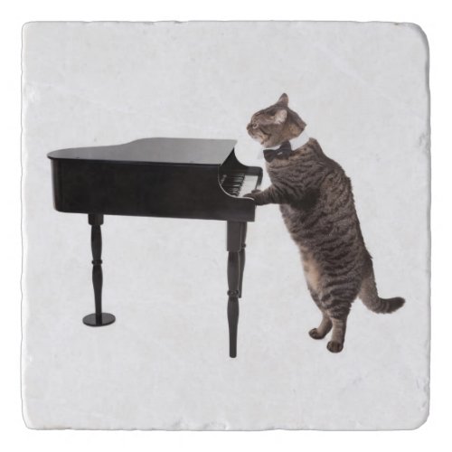 Cat Playing Piano Trivet