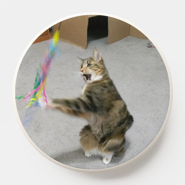 Cat plays with teaser popsocket (Popsocket)