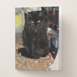 Cat Pocket Folder