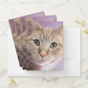 Cat Pocket Folder