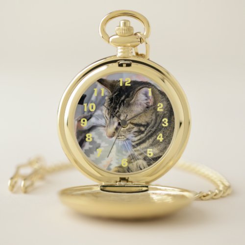 Cat Pocket Watch