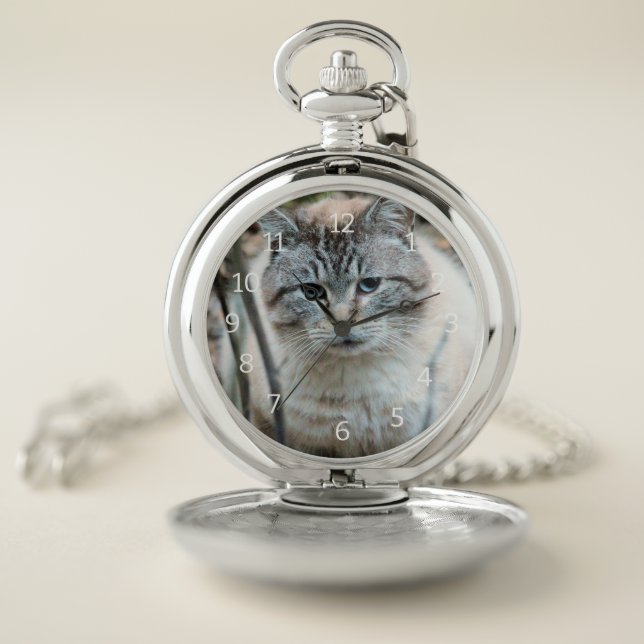 Cat Pocket Watch (Inside)
