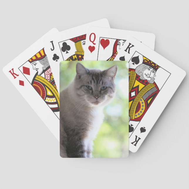 Cat Poker Cards (Back)