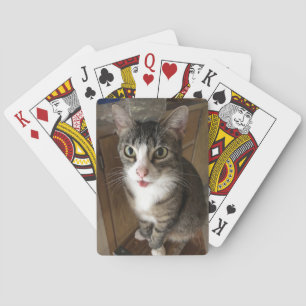 Cat Poker Cards