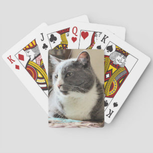 Cat Poker Cards