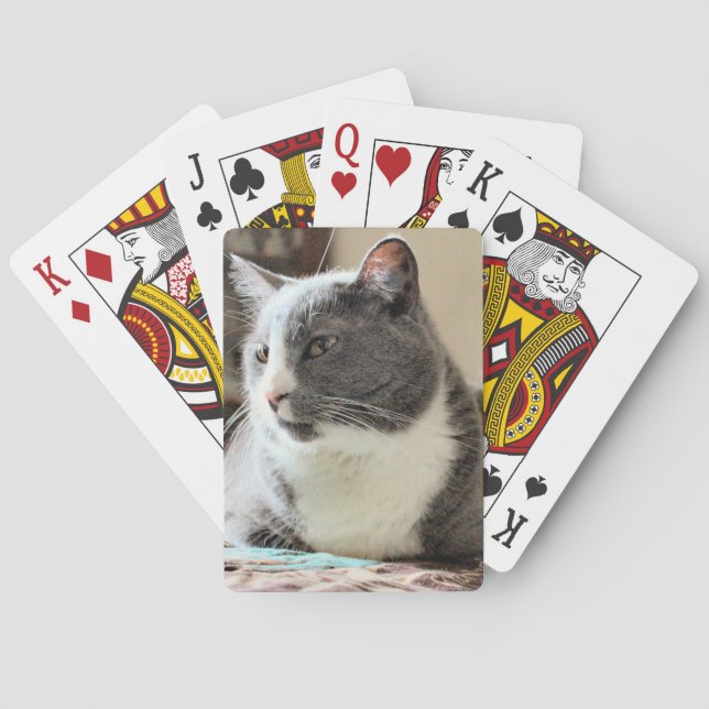 Cat Poker Cards (Back)