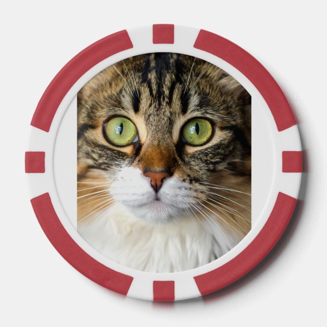 Cat Poker Chips (Front)