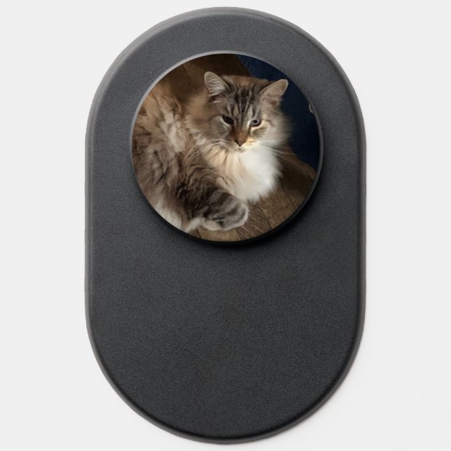 Cat PopSocket (Popsocket)