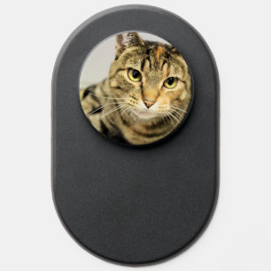 Cat PopSocket