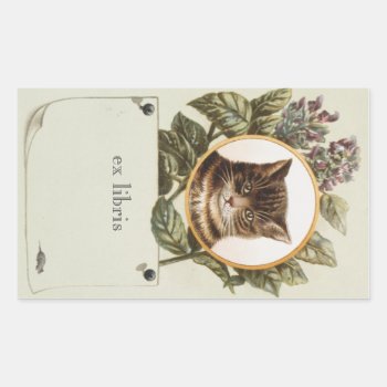 Cat Portrait Bookplate by catppl at Zazzle