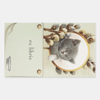 Cat Portrait Bookplate by catppl at Zazzle