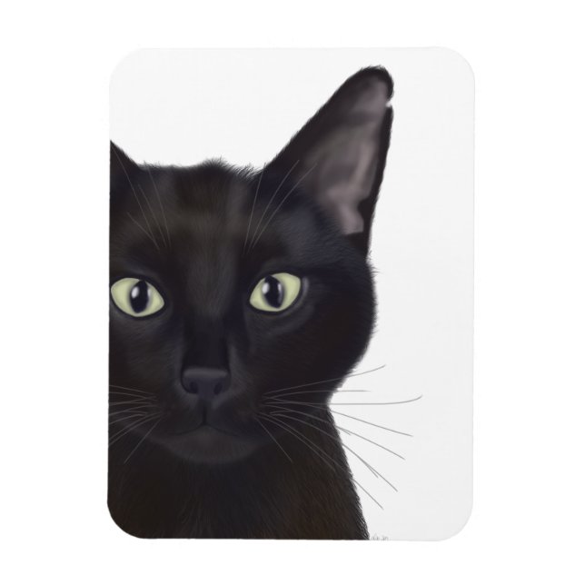 Cat, Portrait of Gus Magnet (Vertical)