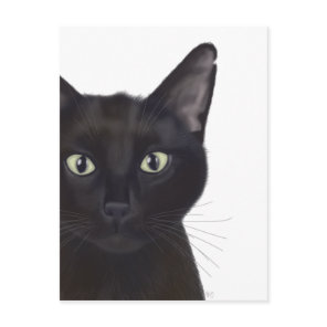 Cat, Portrait of Gus Postcard