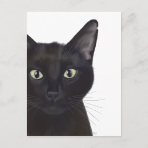 Cat, Portrait of Gus Postcard