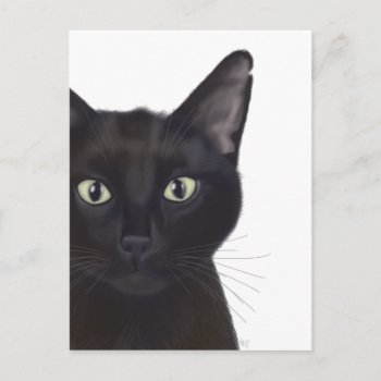 Cat  Portrait Of Gus Postcard by worldartgroup at Zazzle