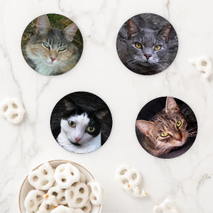 Cat Portraits Coaster Set