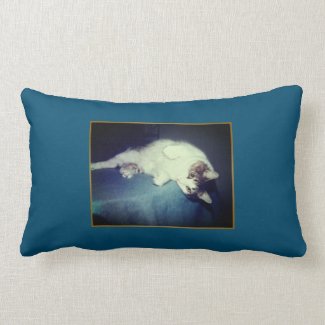 Cat Portraits Lumbar Pillow