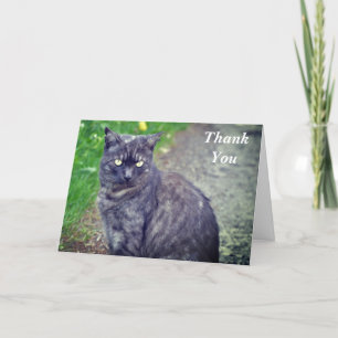 Cat Posing in Sitting Position Thank You Card