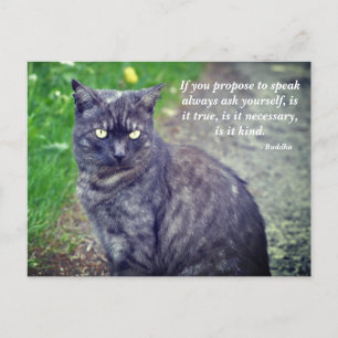 Cat posing on a walk Motivational Buddhist Quote Postcard