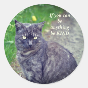 Cat Posing on a Walk Motivational Classic Round Sticker