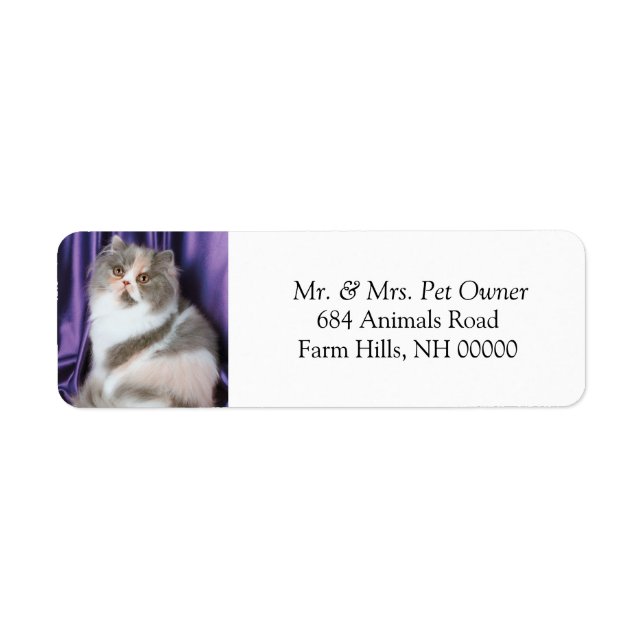 Cat Posing Return Address Labels Stickers (Front)