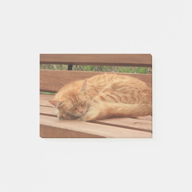 Cat Post-it Notes (Front)