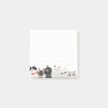Cat Post it