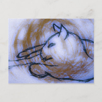 Cat Postcard