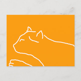 Cat postcard