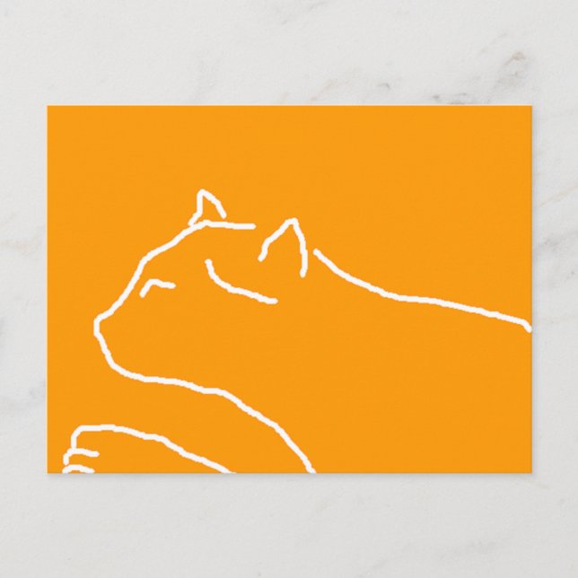 Cat postcard (Front)