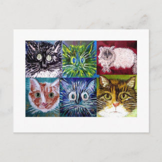 Cat Postcard