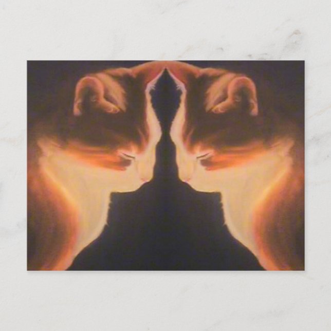 Cat Postcard (Front)