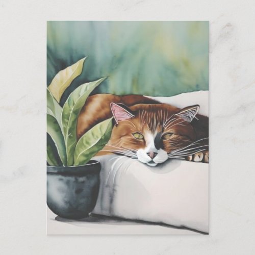 cat postcard