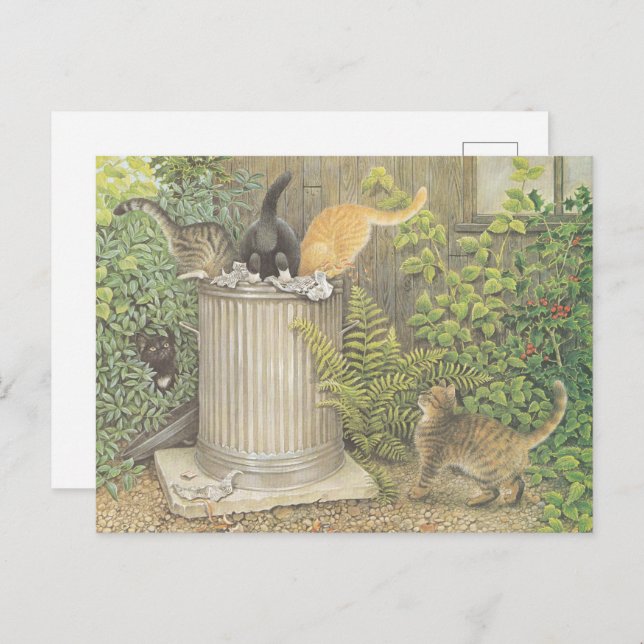 CAT POSTCARD ILLUSTRATION (Front/Back)