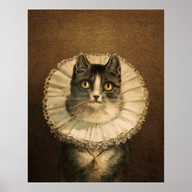 Cat Poster (Front)