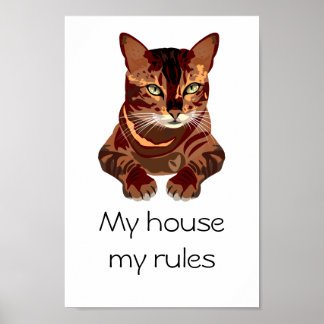 Cat Poster