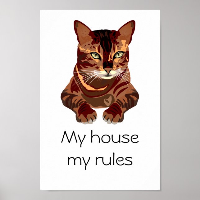 Cat Poster (Front)