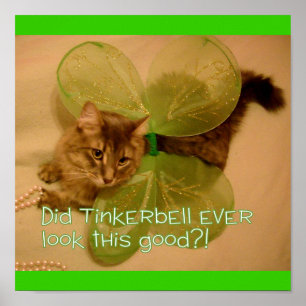 Cat poster