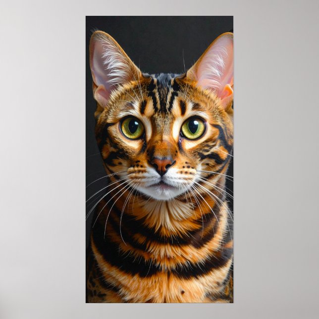 cat poster (Front)