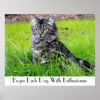 CAT POSTER